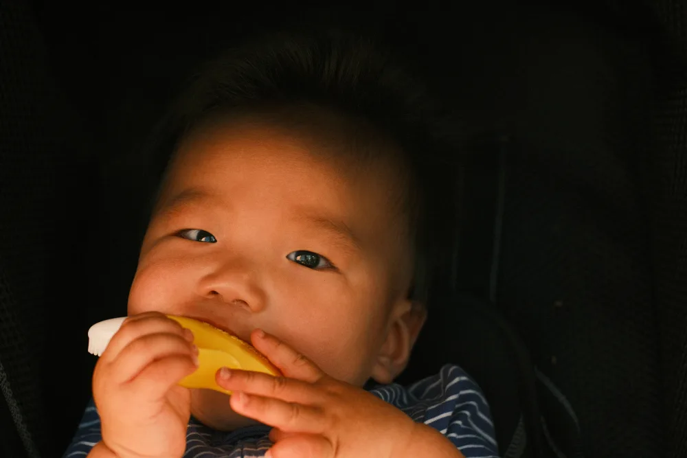 Gan Family — photograph 2